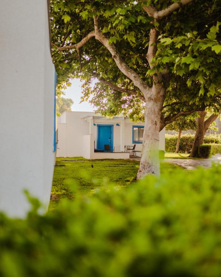Nachsholim Beach Hotel نخولين المظهر الخارجي الصورة
